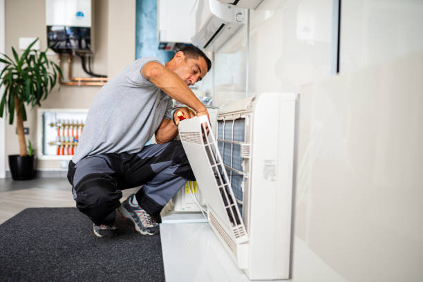 Best Air Duct Sanitizing Services  in Murphy, NC