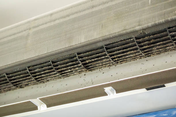 Best Best Air Duct Cleaning Company  in Murphy, NC